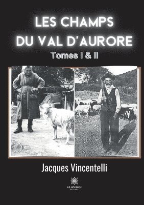 Les champs du Val d'aurore 1