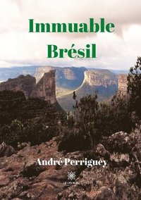bokomslag Immuable Brésil