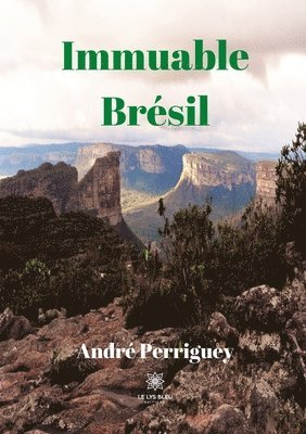 bokomslag Immuable Brésil