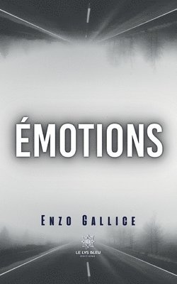 bokomslag Émotions
