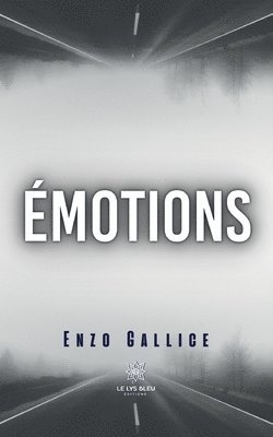 bokomslag Emotions