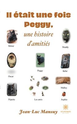 bokomslag Il était une fois Peggy, une histoire d'amitiés
