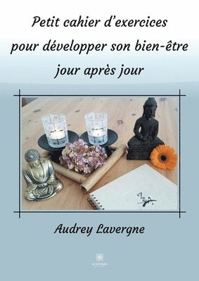 bokomslag Petit cahier d'exercices pour developper son bien-etre jour apres jour