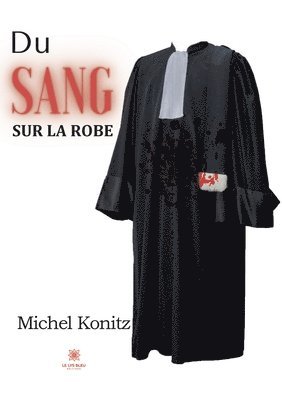 bokomslag Du sang sur la robe