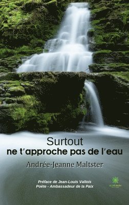 bokomslag Surtout ne t'approche pas de l'eau