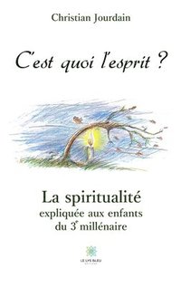 bokomslag C'est quoi l'esprit ?