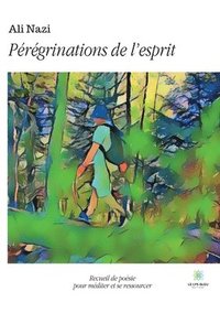 bokomslag Pérégrinations de l'esprit