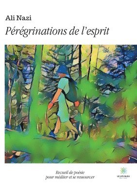 bokomslag Pérégrinations de l'esprit