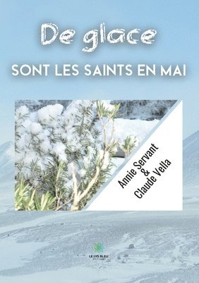 bokomslag De glace sont les saints en mai