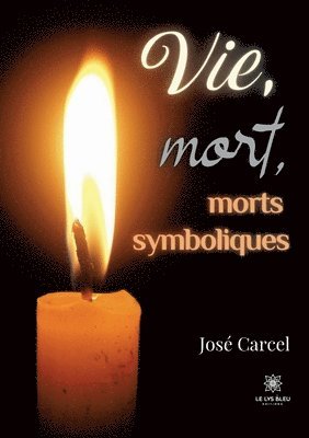 bokomslag Vie, mort, morts symboliques