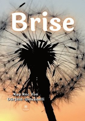 bokomslag Brise