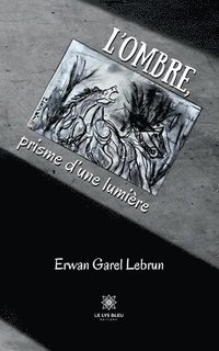 bokomslag L'ombre, prisme d'une lumière