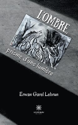 bokomslag L'ombre, prisme d'une lumière