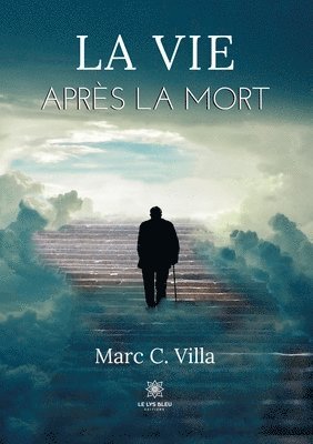 bokomslag La vie apres la mort