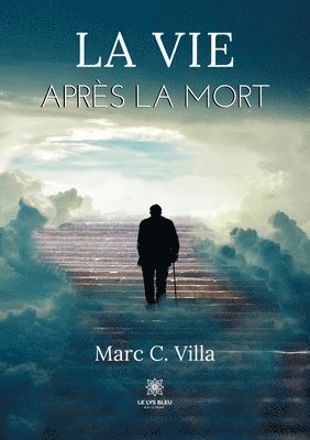 bokomslag vie après la mort