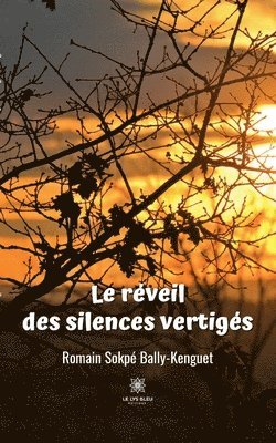 bokomslag réveil des silences vertigés