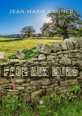Face aux murs 1