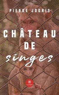 bokomslag Chateau de singes