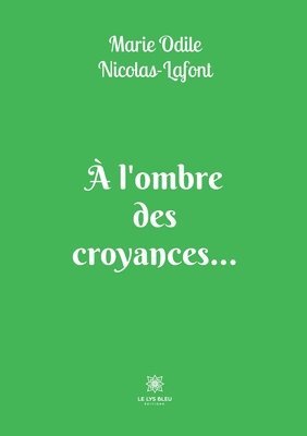 bokomslag À l'ombre des croyances...