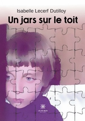 bokomslag jars sur le toit