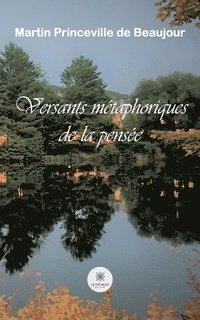 bokomslag Versants me?taphoriques de la pense?