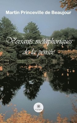 bokomslag Versants me?taphoriques de la pense?