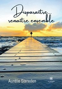 bokomslag Disparaître... renaître ensemble
