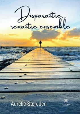 bokomslag Disparaître... renaître ensemble
