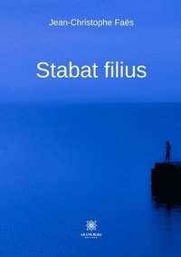 bokomslag Stabat filius