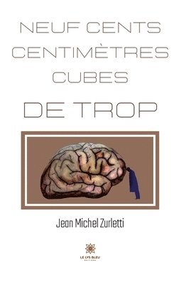 bokomslag Neuf cents centimètres cubes de trop