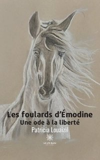 bokomslag Les foulards d'Émodine