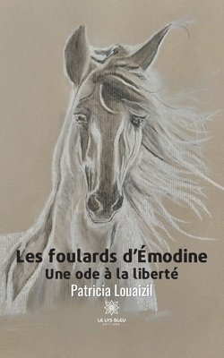 bokomslag Les foulards d'Émodine