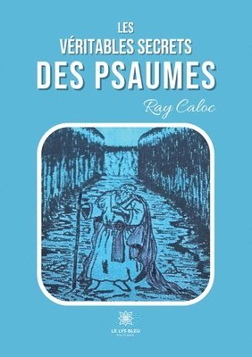 bokomslag Les véritables secrets des psaumes