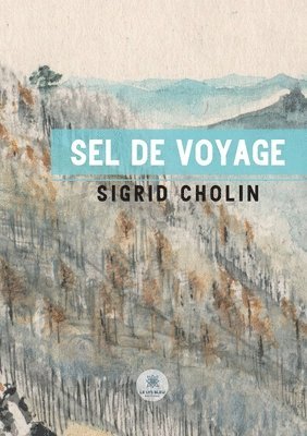 Sel de voyage 1