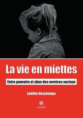 La vie en miettes 1