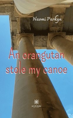 An orangutan stole my canoe 1