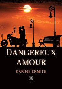 bokomslag Dangereux amour