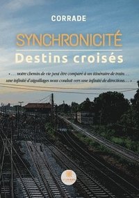 bokomslag Synchronicité