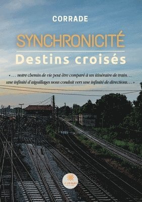 bokomslag Synchronicité
