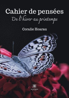 bokomslag Cahier de pensées
