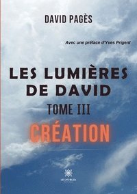 bokomslag Les lumières de David