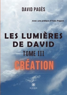 Les lumieres de David 1