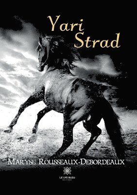 Yari Strad 1