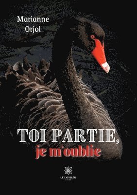 bokomslag Toi partie, je m'oublie