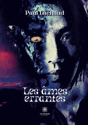 bokomslag Les âmes errantes