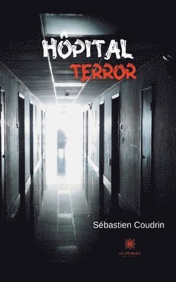 bokomslag Hôpital terror