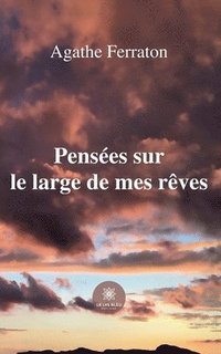 bokomslag Pensées sur le large de mes rêves