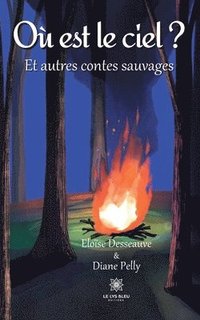 bokomslag Où est le ciel ?