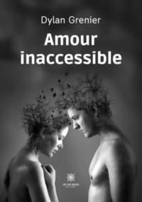 bokomslag Amour inaccessible