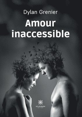 bokomslag Amour inaccessible